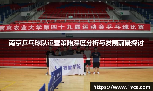 南京乒乓球队运营策略深度分析与发展前景探讨